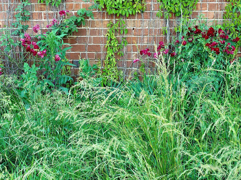 织妇何太忙,蚕经三卧行欲老出处意思赏析