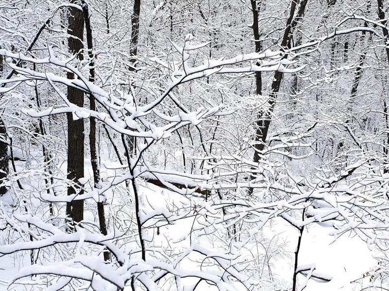 火山突兀赤亭口,火山五月火云厚出处意思赏析