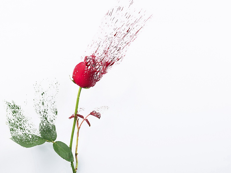 《竹马子·登孤垒荒凉》原文,宋)柳永古诗