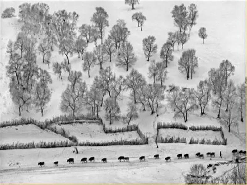 春日迟迟,卉木萋萋出处意思赏析