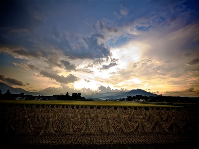 无为在歧路,儿女共沾巾的出处意思赏析