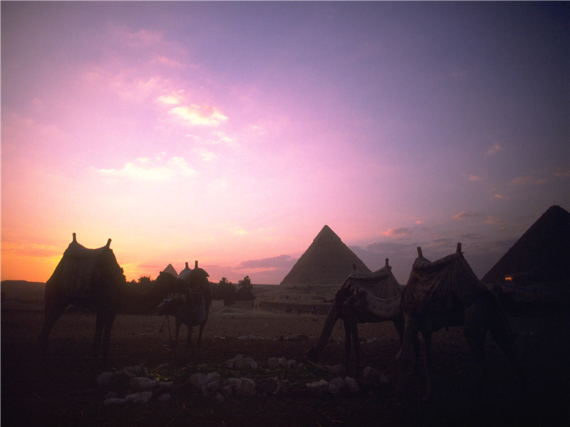 未知东郭清明酒,何似西窗谷雨茶出处意思赏析
