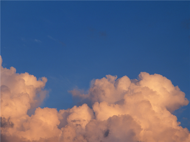 田中有转蓬,随风远飘扬出处意思赏析