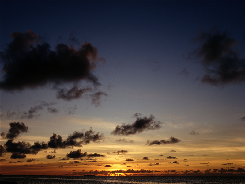 今夜鄜州月,闺中只独看的出处意思赏析