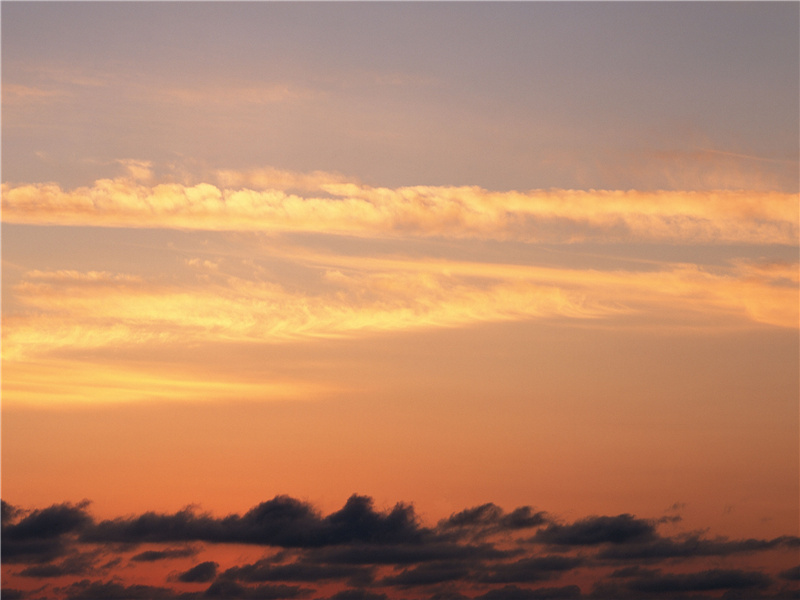 绛唇珠袖两寂寞,晚有弟子传芬芳的出处意思赏析