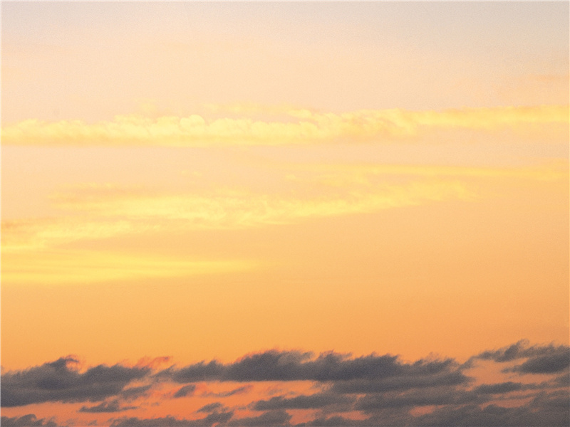 千门万户递鱼钥,宫中城上飞乌鹊出处意思赏析