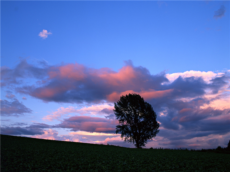 回首向来萧瑟处,归去,也无风雨也无晴的出处意思赏析