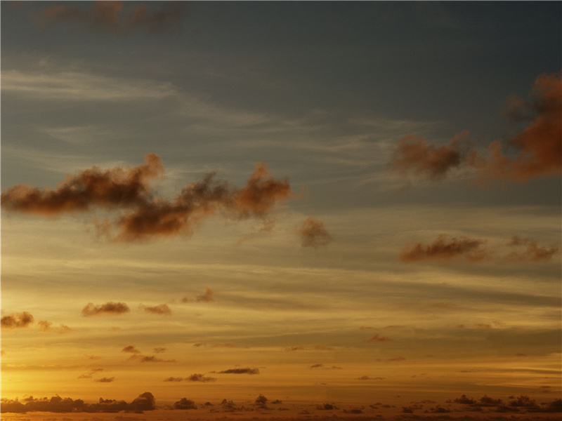 先帝侍女八千人,公孙剑器初第一的出处意思赏析