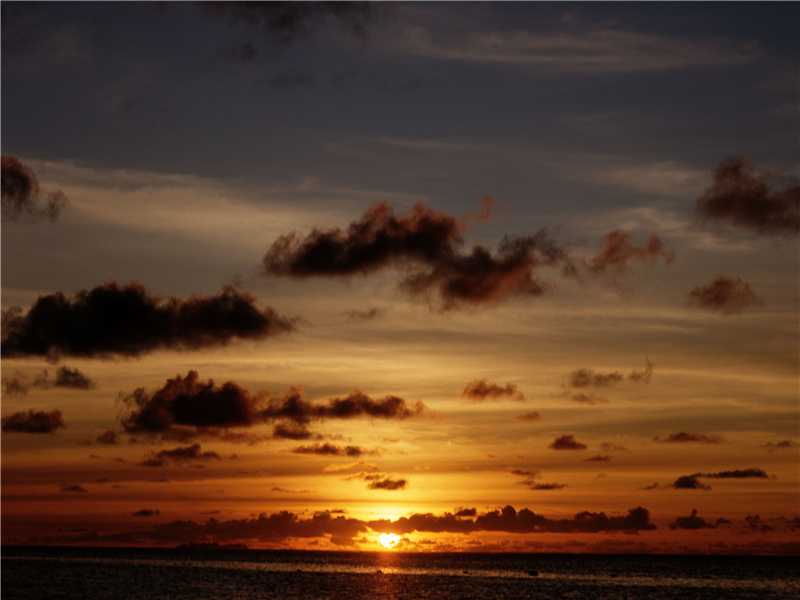 明日复明日,明日何其多出处意思赏析作者