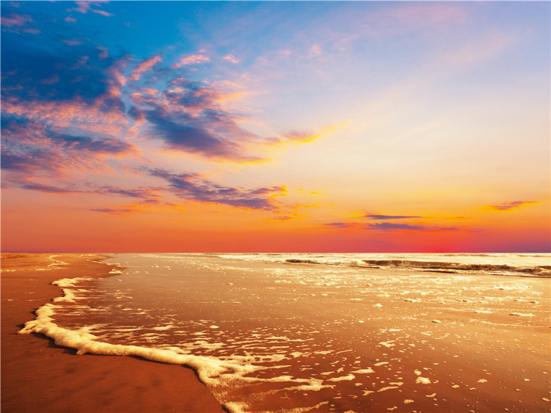 《将进酒小梅花)·城下路》原文,宋)贺铸古诗