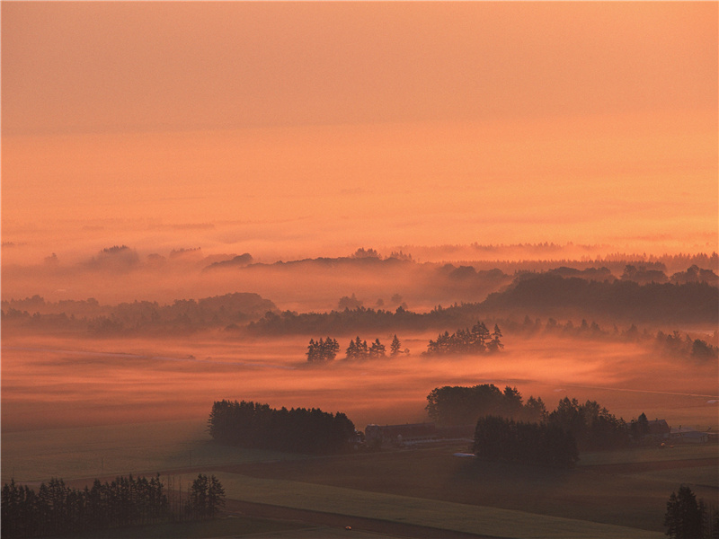 又送王孙去,萋萋满别情出处意思赏析作者