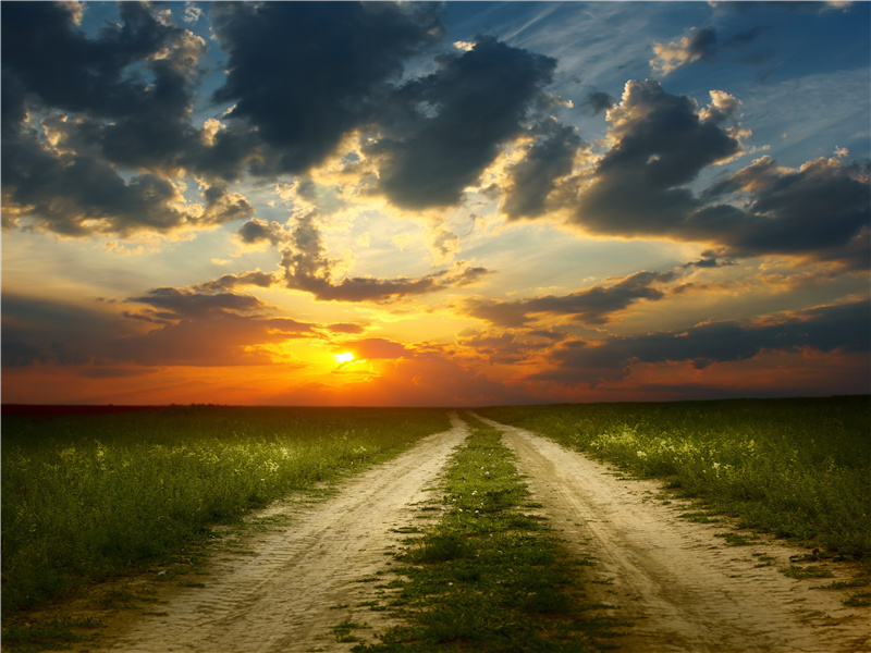 野火烧不尽,春风吹又生出处翻译赏析