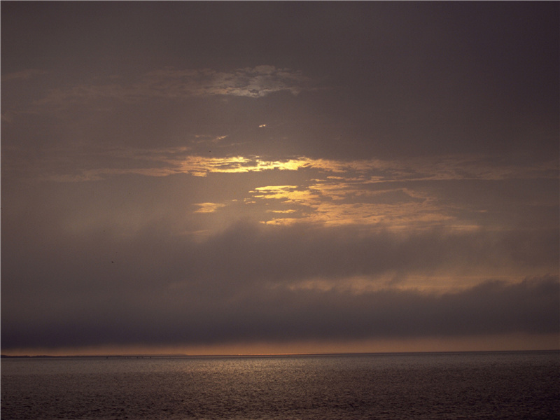 残灯明灭枕头敧,谙尽孤眠滋味的意思出处赏析