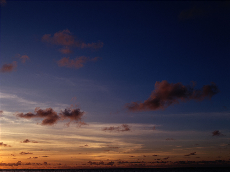 情怀渐变成衰晚,鸾镜朱颜惊暗换的意思出处赏析