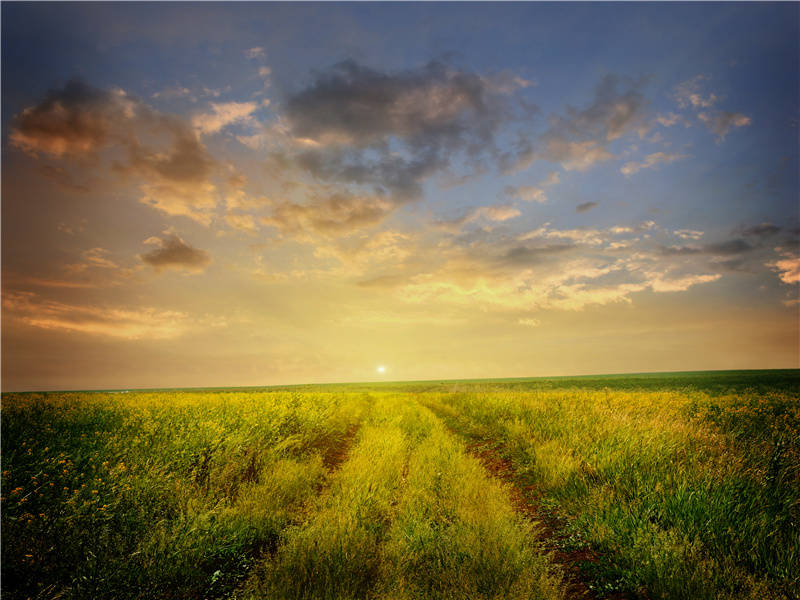 天明登前途,独与老翁别出处翻译赏析
