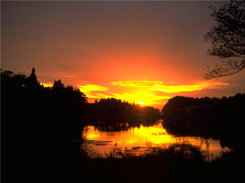 莫怨孤舟无定处,此身自是一孤舟出处意思赏析