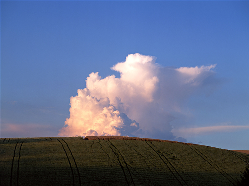 蛇出燕巢盘斗栱,菌生香案正当衙出处意思赏析