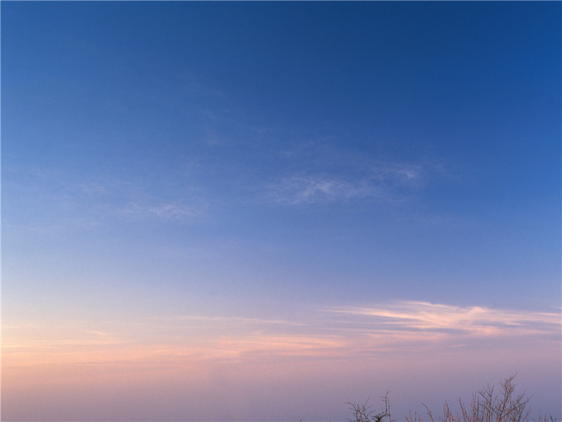 不是诚斋无月,隔一林修竹出处意思赏析