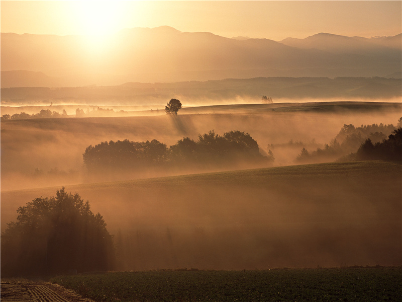 牛靿咤咤,田确确,旱块敲牛蹄趵趵出处意思赏析