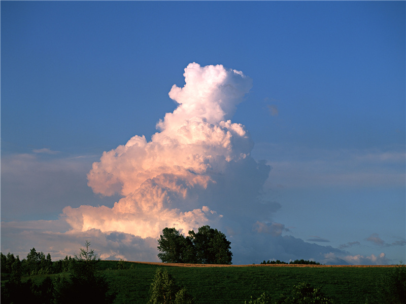八月蝴蝶来,双飞西园草出处意思赏析
