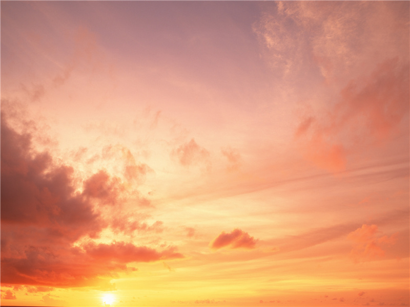 共君今夜不须睡,未到晓钟犹是春出处意思赏析