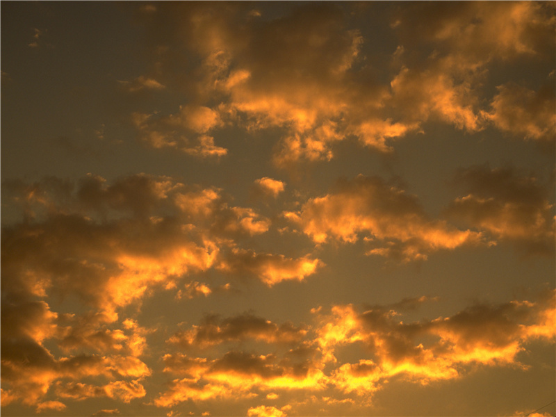 十年磨一剑,霜刃未曾试出处意思赏析