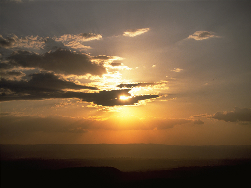 存者且偷生,死者长已矣出处意思赏析