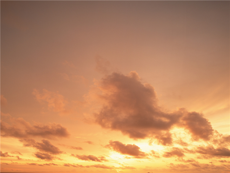 自惭衰病心神耗,赖有群公鉴裁精出处意思赏析