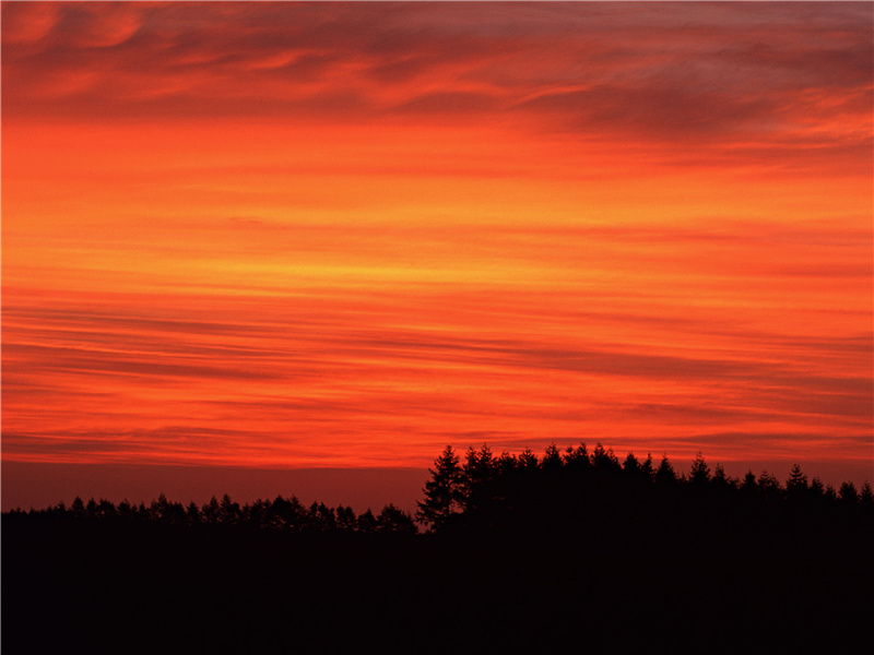 《诉衷情·寒食》原文,宋)仲殊古诗