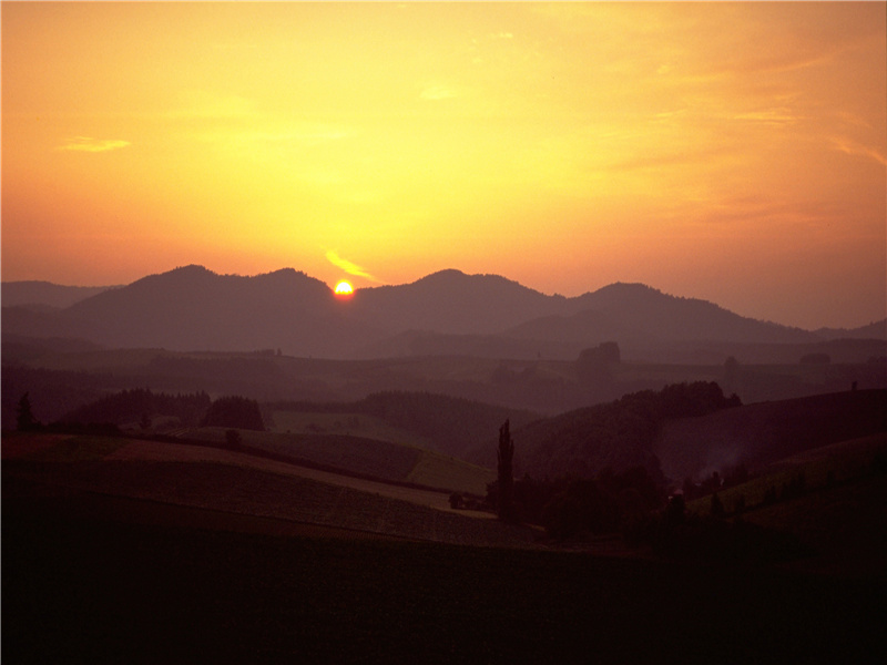 《小重山令·赋潭州红梅》原文,宋)姜夔古诗