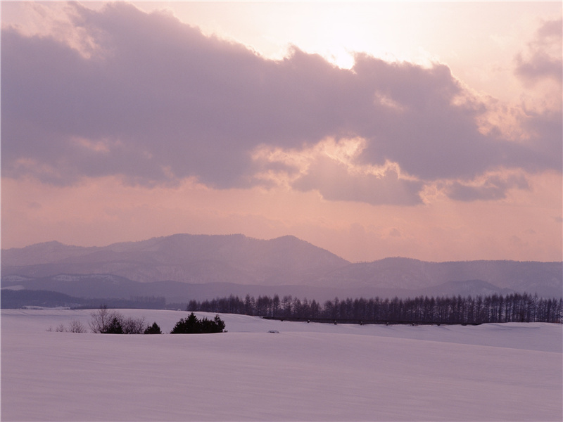 昨夜巫山下,猿声梦里长出处意思赏析