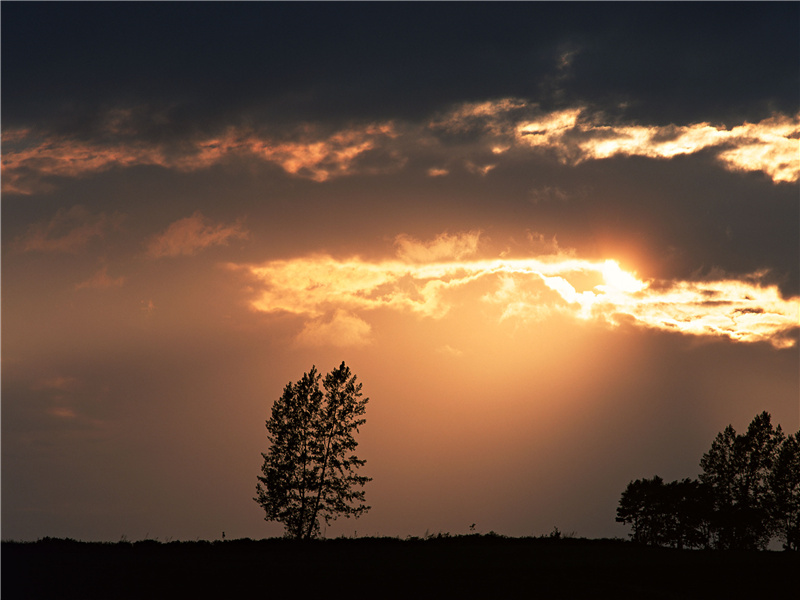 先君怀圣德,灵庙肃神心出处意思赏析