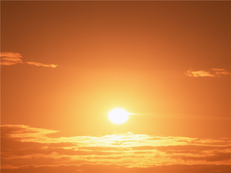 去年元夜时,花市灯如昼出处意思赏析