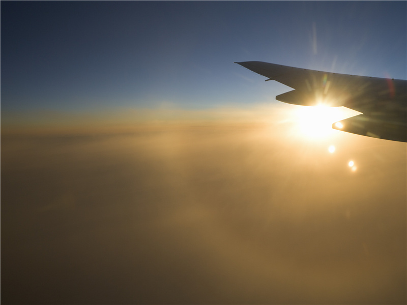 花近高楼伤客心,万方多难此登临的出处意思赏析