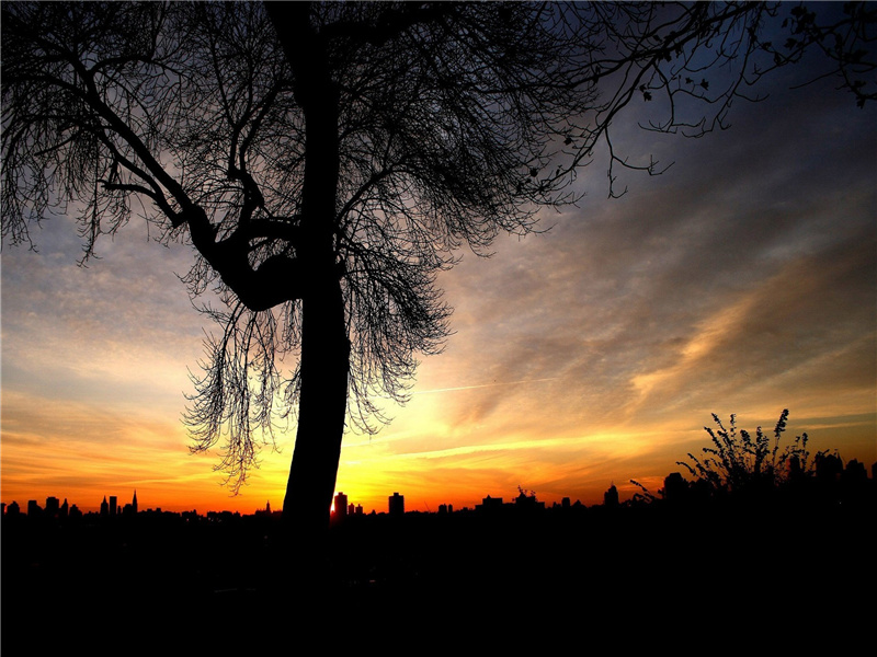 早晚下三巴,预将书报家出处意思赏析