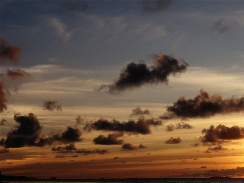 客舟系缆柳阴旁,湖影侵篷夜气凉的意思出处赏析