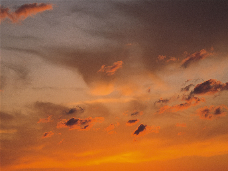 幽葩细萼,小园低槛,壅培未就的意思出处赏析