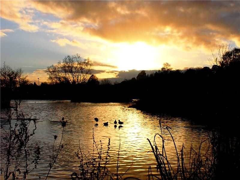 汀洲无浪复无烟,楚客相思益渺然的出处意思赏析