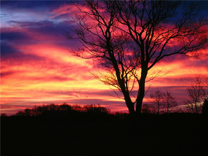 坐对真成被花恼,出门一笑大江横出处意思赏析