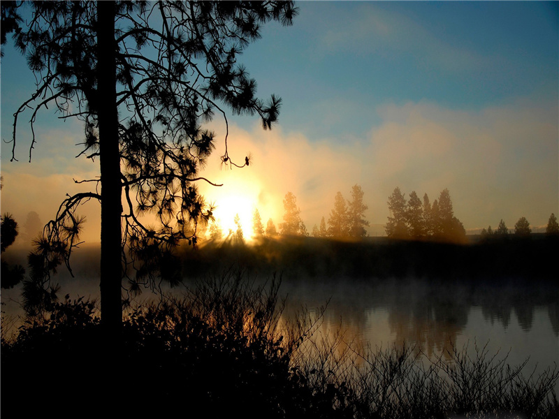铜盘烛泪已流尽,霏霏凉露沾衣出处意思赏析