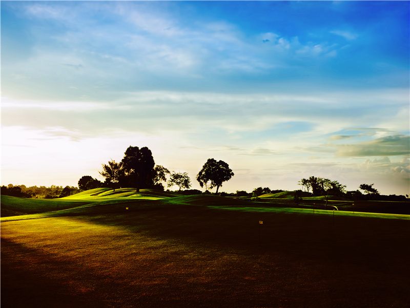 岂无父母在高堂,亦有亲情满故乡出处意思赏析