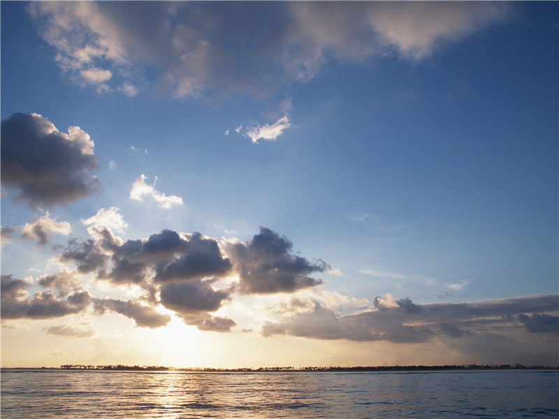 近人积水无鸥鹭,时有归牛浮鼻过出处意思赏析