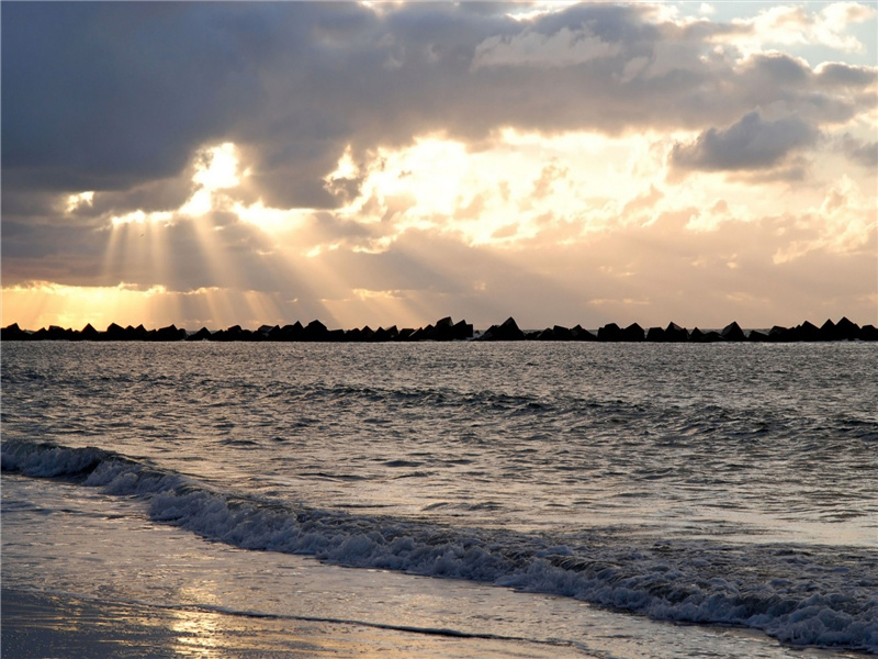 朱弦已为佳人绝,青眼聊因美酒横出处翻译赏析