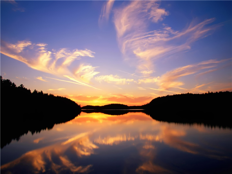 渊明归去来,不与世相逐出处意思赏析