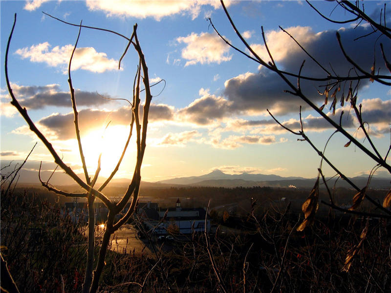 真个别离难,不似相逢好的意思出处赏析