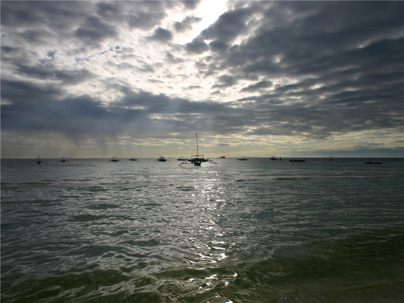 《蝶恋花·月皎惊乌栖不定》原文翻译赏析,宋)周邦彦古诗