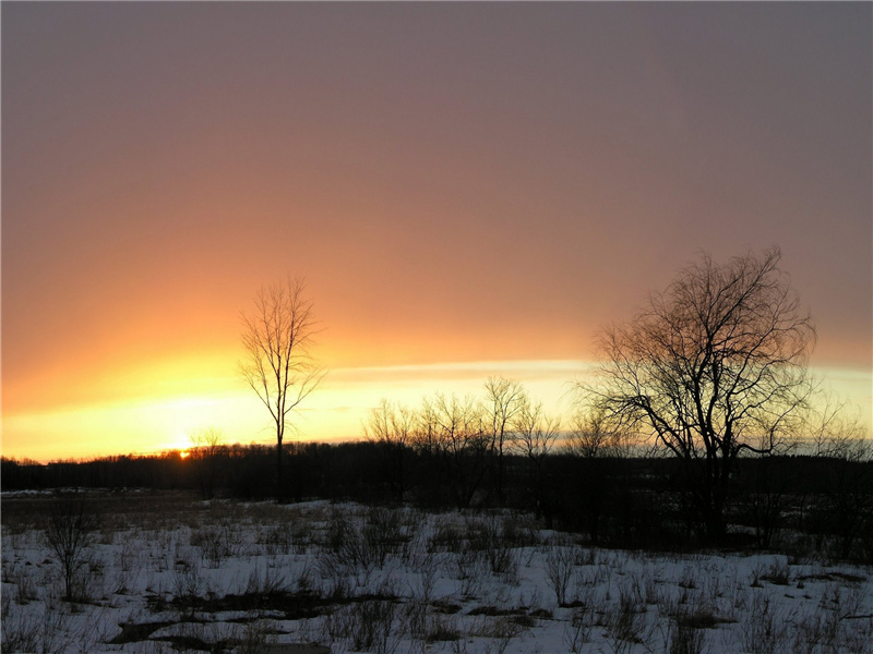 一片花飞减却春,风飘万点正愁人出处意思赏析