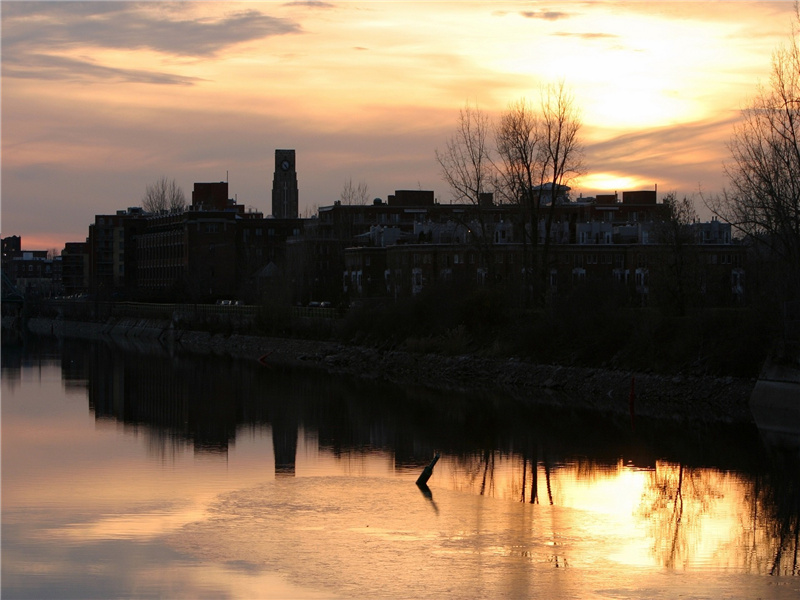 万里无人收白骨,家家城下招魂葬出处意思赏析