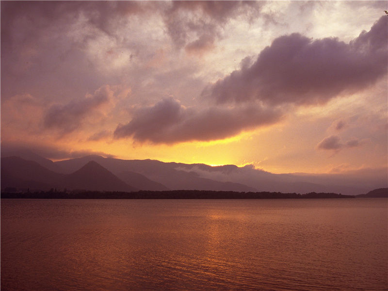 见杨柳飞绵滚滚,对桃花醉脸醺醺出处意思赏析