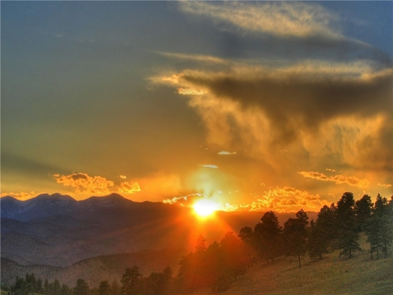 少壮能几时,鬓发各已苍的意思出处赏析